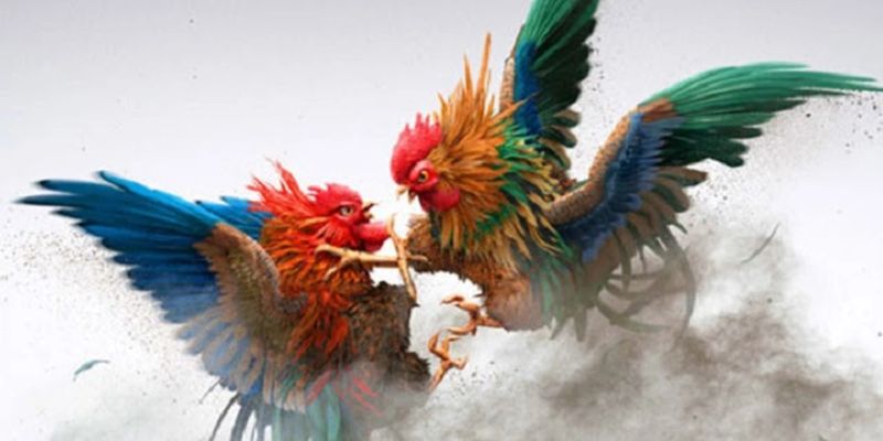 Mẹo tăng chiến thắng