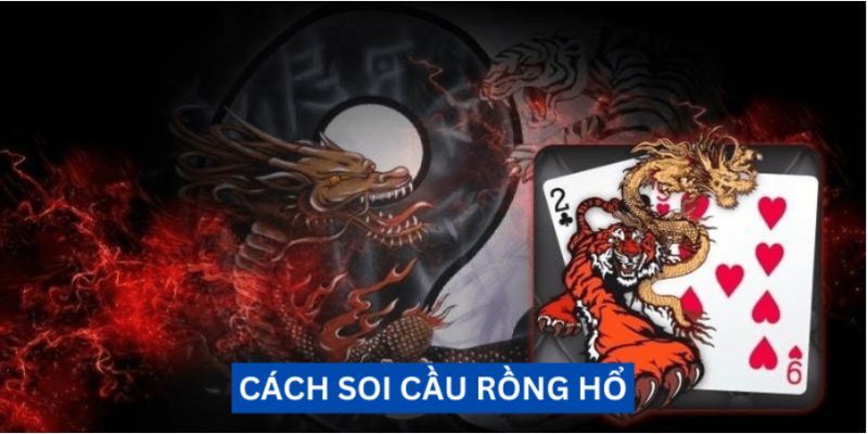 Cách soi cầu rồng hổ chuyên nghiệp
